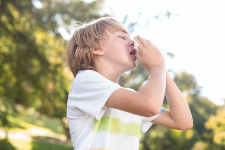 what is hay fever symptoms and treatment